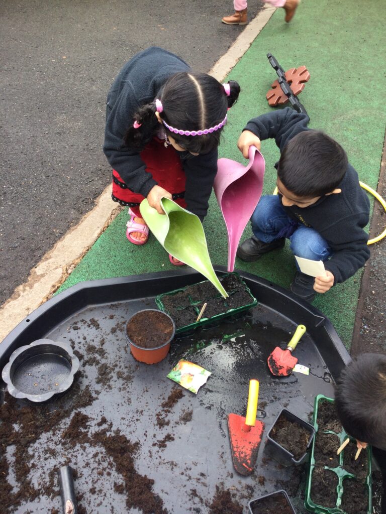Nurseries The Springfield Project Nurseries The Springfield Project