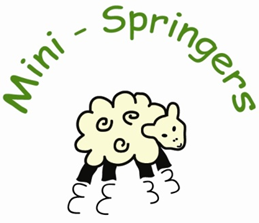 Positive Behaviour Policy (Inc. Anti – Bullying) The Springfield Project