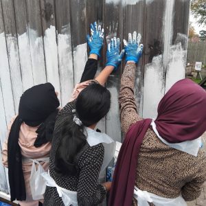 Youth Programme The Springfield Project Youth Programme The Springfield Project