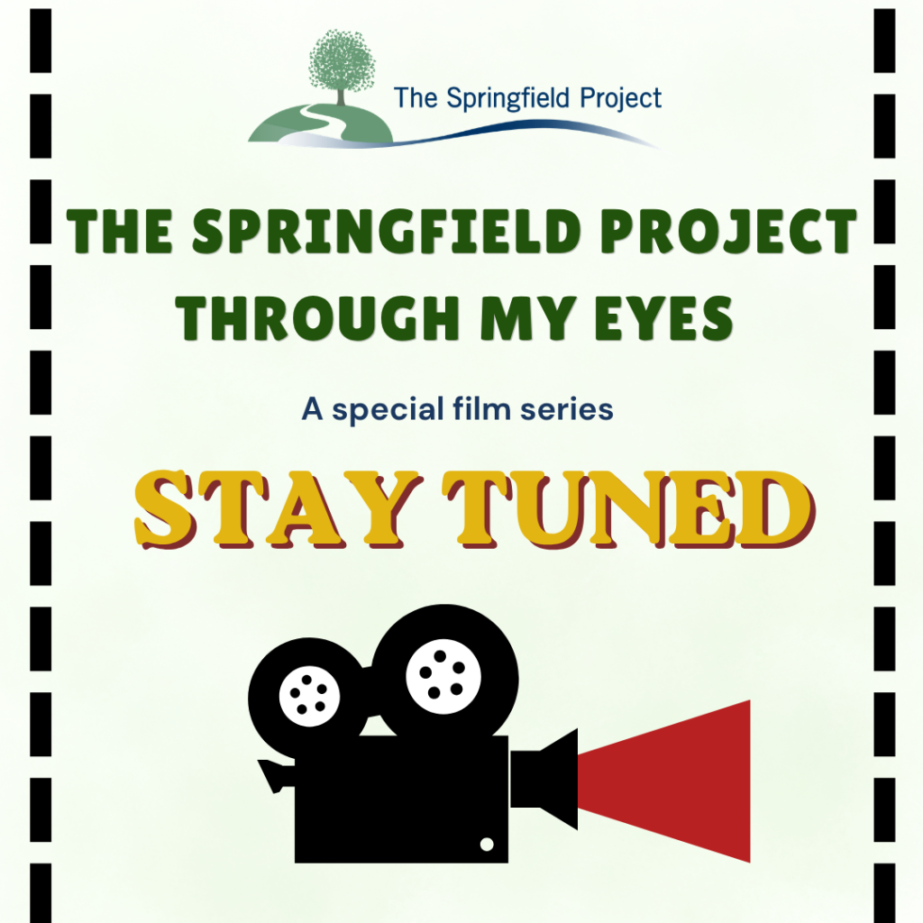 Our Film The Springfield Project