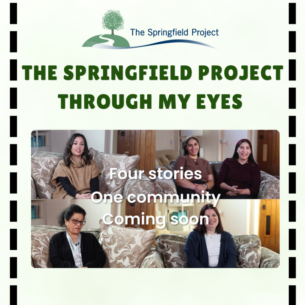 Our Film The Springfield Project