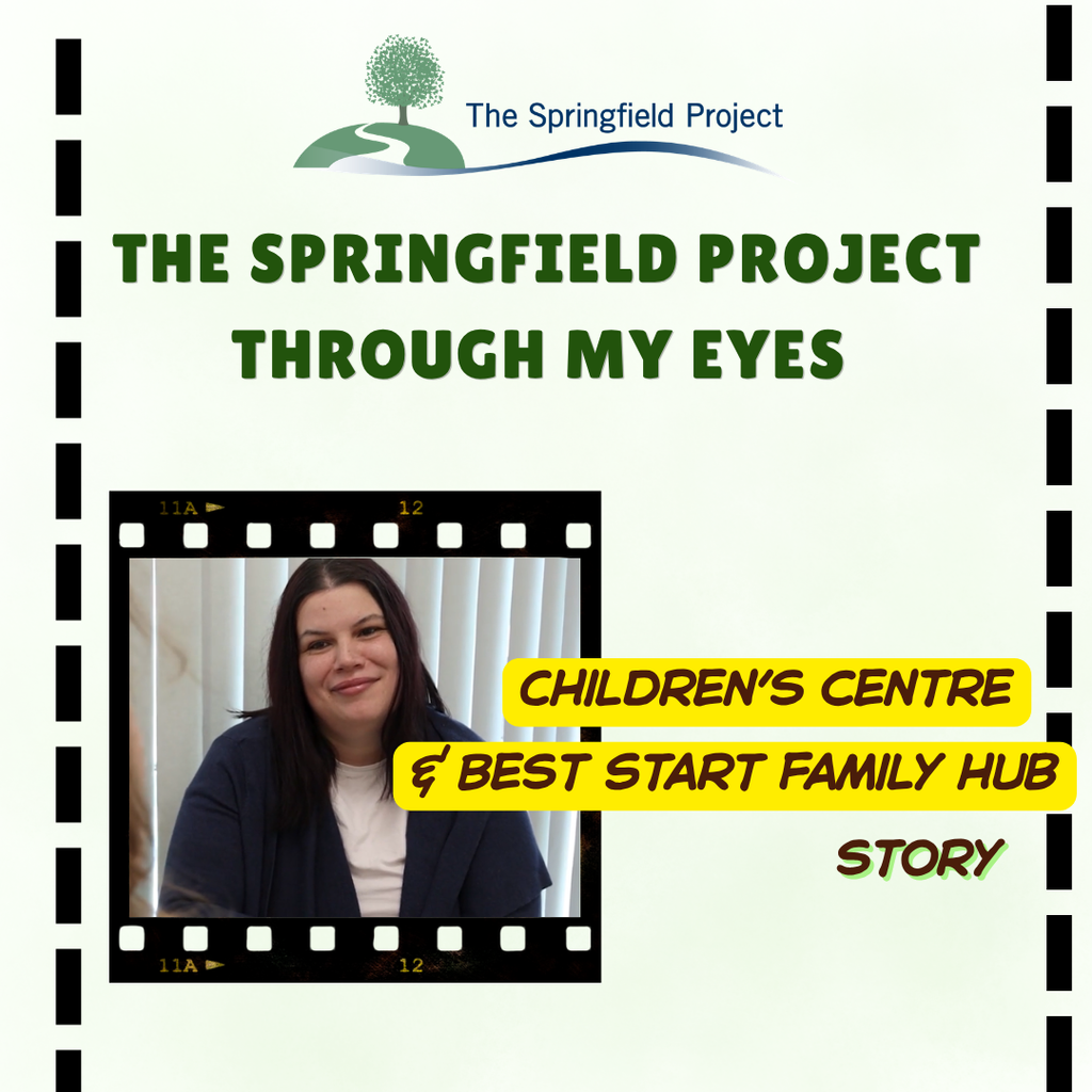 Our Film The Springfield Project Our Film The Springfield Project